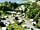 Pen Y Bont Touring and Camping Park