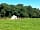 Trevessa Farm: The bell tent alongside the cow field.