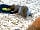Plough Lane Caravan Site: The dinner guest