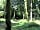 Forest Glade Holiday Park: Another walk