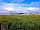 Cloughey Holiday Park: View across the wetlands