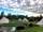 Camping Westmoor Farm: The bell tents
