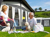 Dogs welcome Dogs welcome