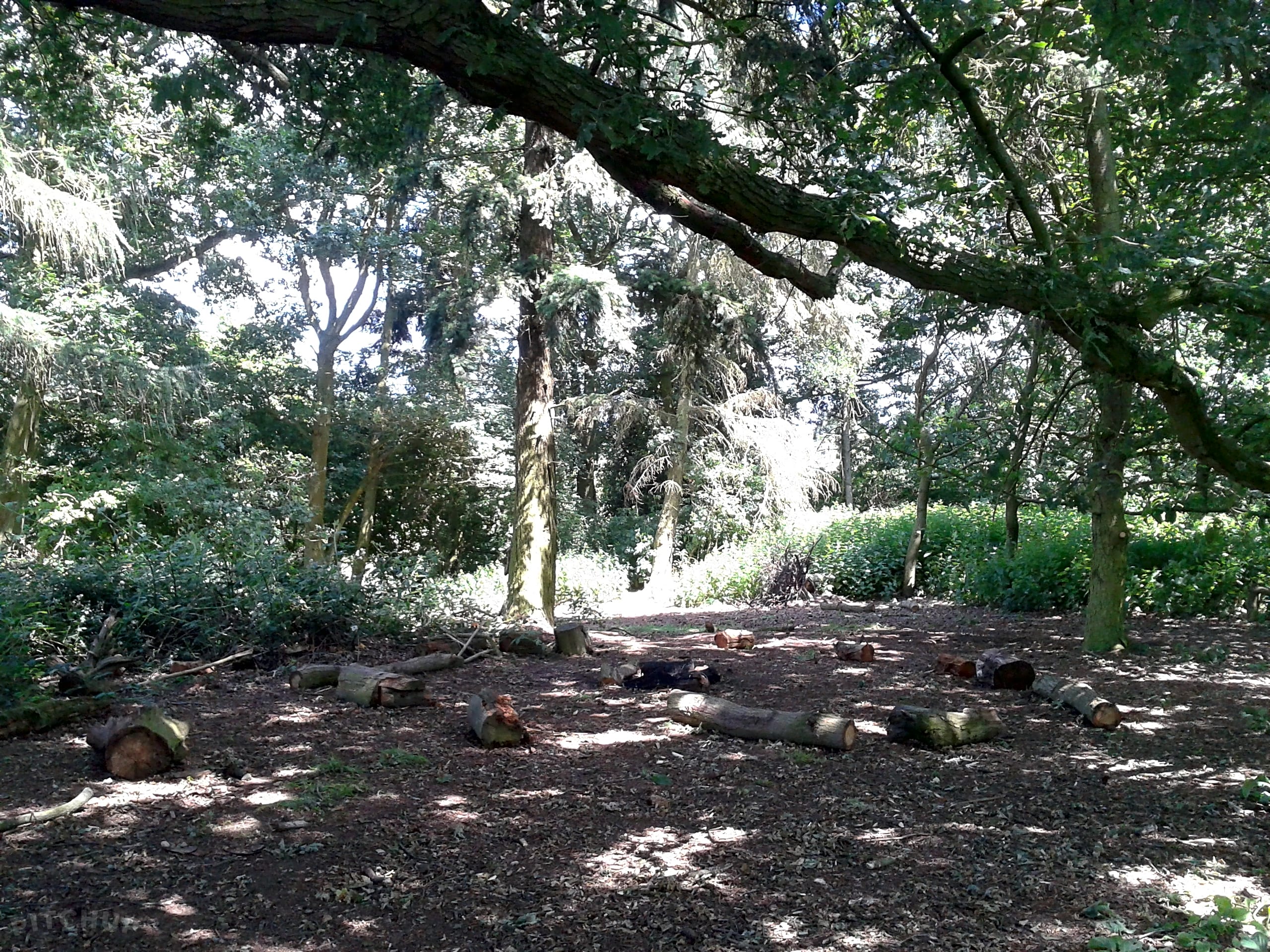 Little Ropers Woodland Camping Sudbury Updated 2019