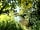 Church Meadow Campsite: Woodland walks (photo added by manager on 05/06/2023)