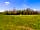 Heathfield Caravan Park: Dog walking area