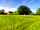 The Three Horseshoes