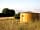 Cadora Woods Glamping: Yurt