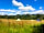 Summer Meadow Camping (фото добавлено менеджером 12.08.2022)