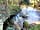 Gateway To The Moors Caravan Park: Water coming from an underground cave at the bottom of the field