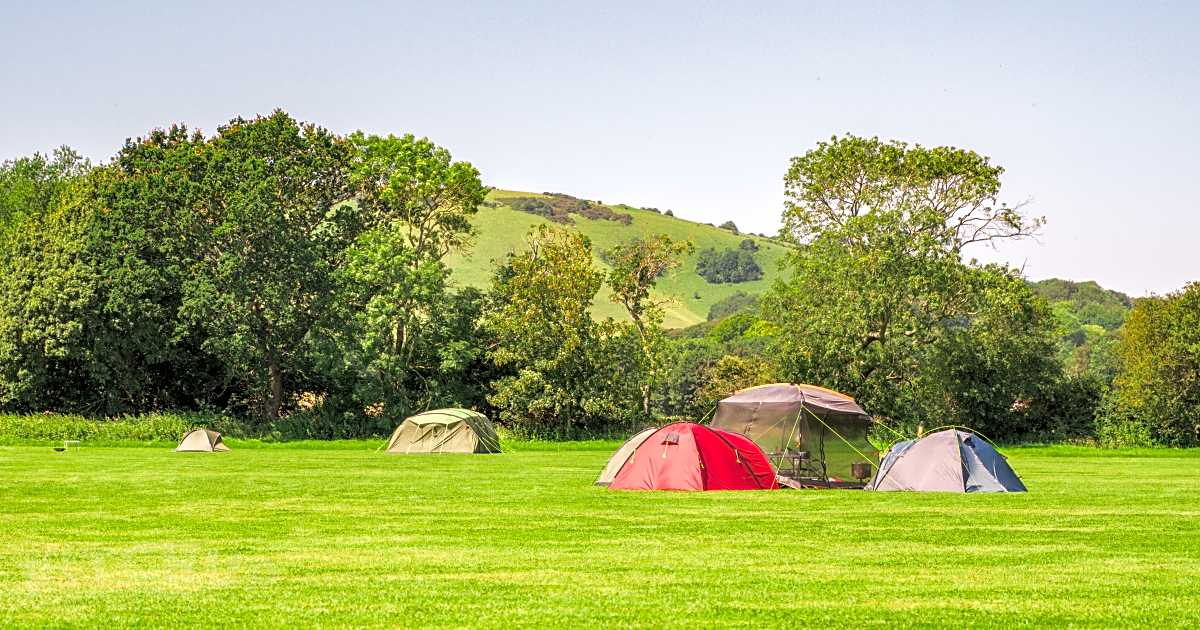 Bramley Park Camping, Polegate Updated 2024 prices