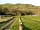 Wood Farm Holiday Park: The dog walk and fishing lake