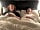 Greenacres Glamping