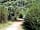 Camping Le Nid du Parc: Woodlands on site