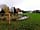 Herigerbi Park