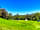 Orleton Court Farm