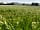 Abbey Farm Caravan and Camping