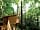 Redwood Valley - Woodland Cabin and Yurts: Elevated walkway to private compost toilet