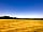 Higher Seawardstone Farm: The field