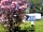 Cheddar Bridge Touring Park: All touring pitches all have electric and hardstanding with water points near by.