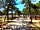 Parque Orbitur Sitava Milfontes: Camping view