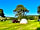 Porlock Vale Campsite: Spacious pitches (photo added by manager)
