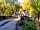 Cobleland Campsite: Access via a pretty bridge (photo added by manager on 07/01/2023)
