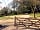 Dearden Wood