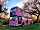 Station Farm: Look out for the pink bus as you approach the camping field