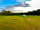 Camping at The Manor: Pitches