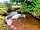 Porlock Vale Campsite: The river Aller at Porlock Vale Campsite (photo added by manager)