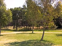 Θέση για αυτοκινούμενο τροχόσπιτο σε γρασίδι με ρεύμα προαιρετικά