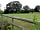 Bluebell Meadow Campsite
