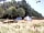 Beech Tree Farm: Campground
