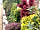 New Farm Cheshire Holidays: The grounds outside the shower block