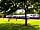 Bosworth Lakeside Lodges: Grass pitch with electric