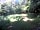 Yomer Wood Camping: The pitch is surrounded by woods but gets light into the evening