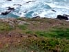 Porthcothan Clifftop Camping (foto adicionada em 12/08/2024)