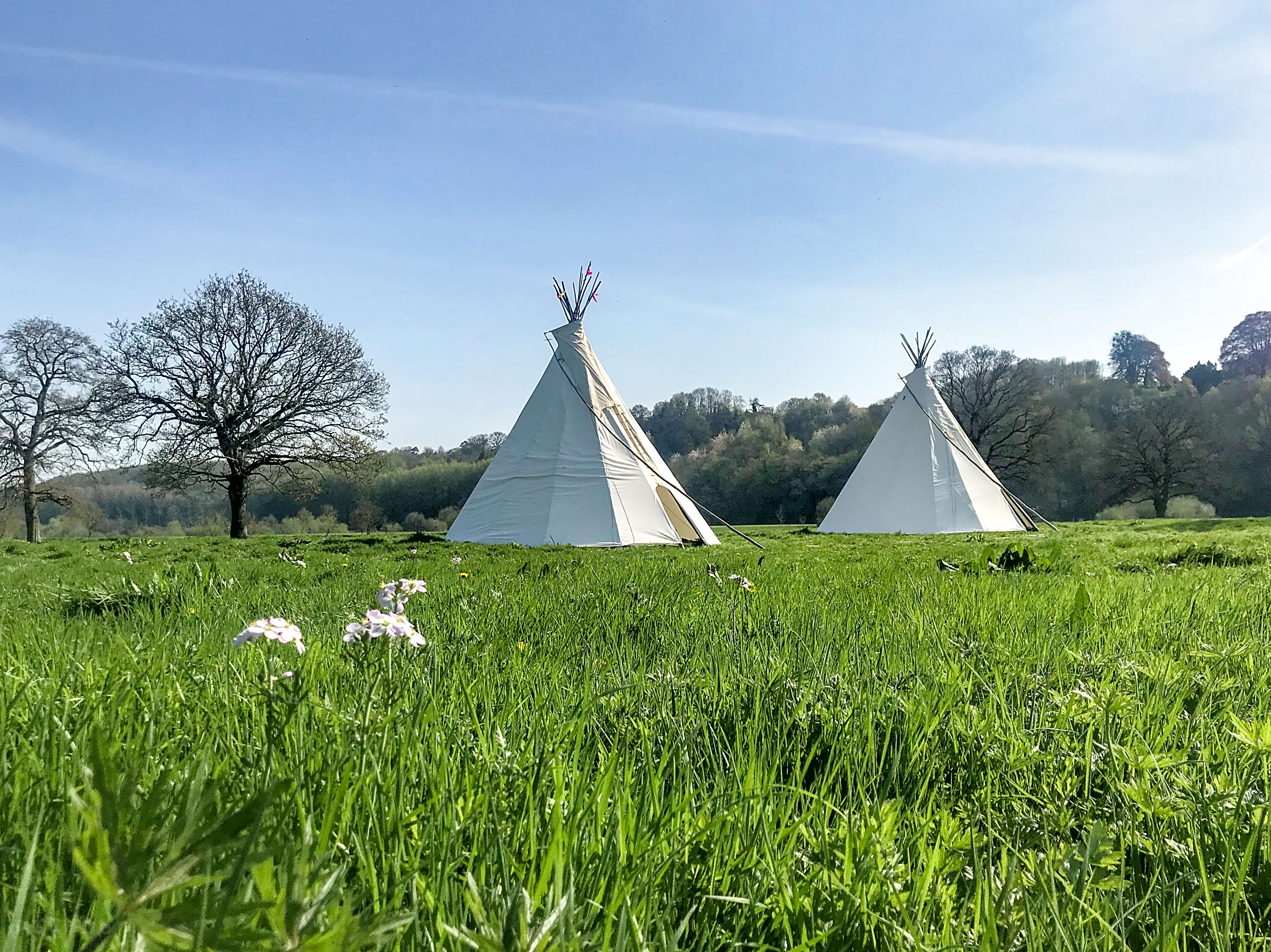 Teepee huts hotsell