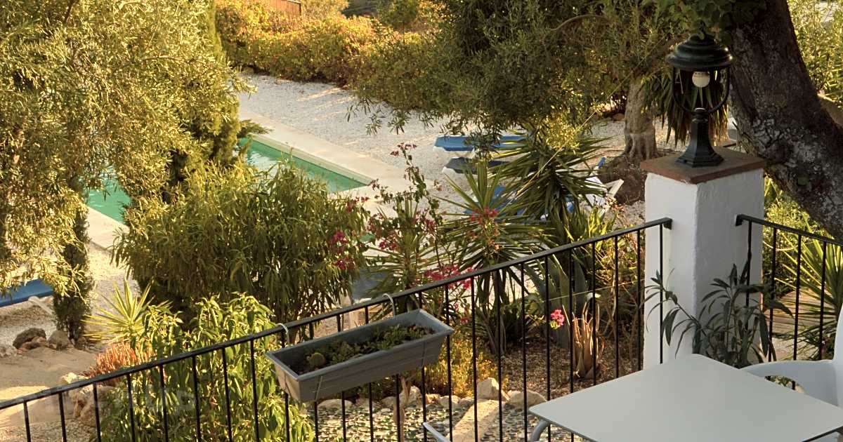 Olive Branch El Chorro, El Chorro