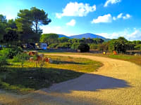 Path through the site Path through the site