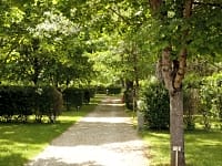 The pitches are often separated by hedges and shaded by trees The pitches are often separated by hedges and shaded by trees