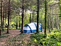campings en Teignmouth