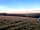 Exmoor Blueberries: Morning view