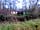 Haselbury Mill: View of the shepherds hut from across the stream (photo added by chelle_h on 07/01/2019)