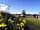 Yellowtail Camping: Tent area