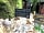 Bryn Dinas Camping Pods: Pods for baby dragons