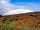 Dartmoor Glamping: Over the rainbow