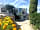 Camping Estanyet: Plants and bushes around the site