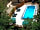 Alpine Grove Touring Park: The outdoor heated swimming pool